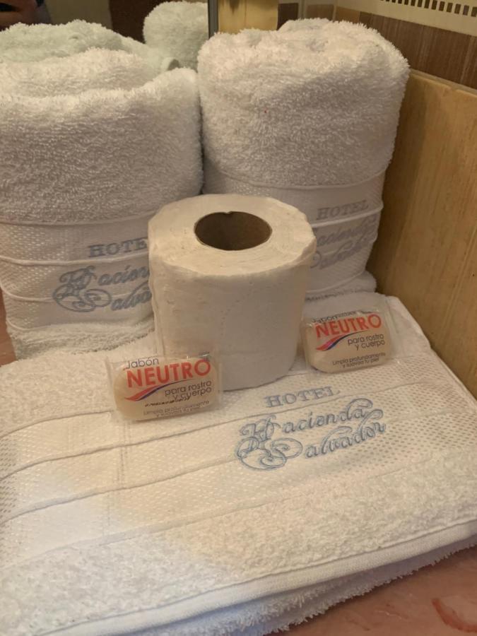 Hotel Hacienda Salvador 산 후안 데 로스 라고스 외부 사진